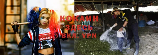 spice Магас