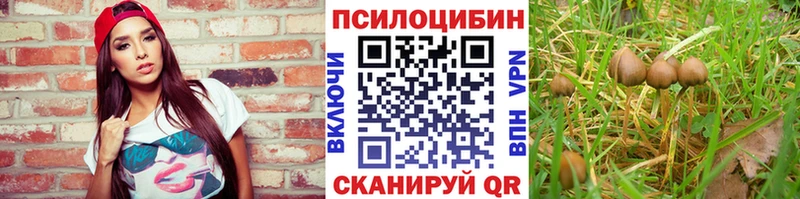 Псилоцибиновые грибы Magic Shrooms  Купить где  Светогорск 